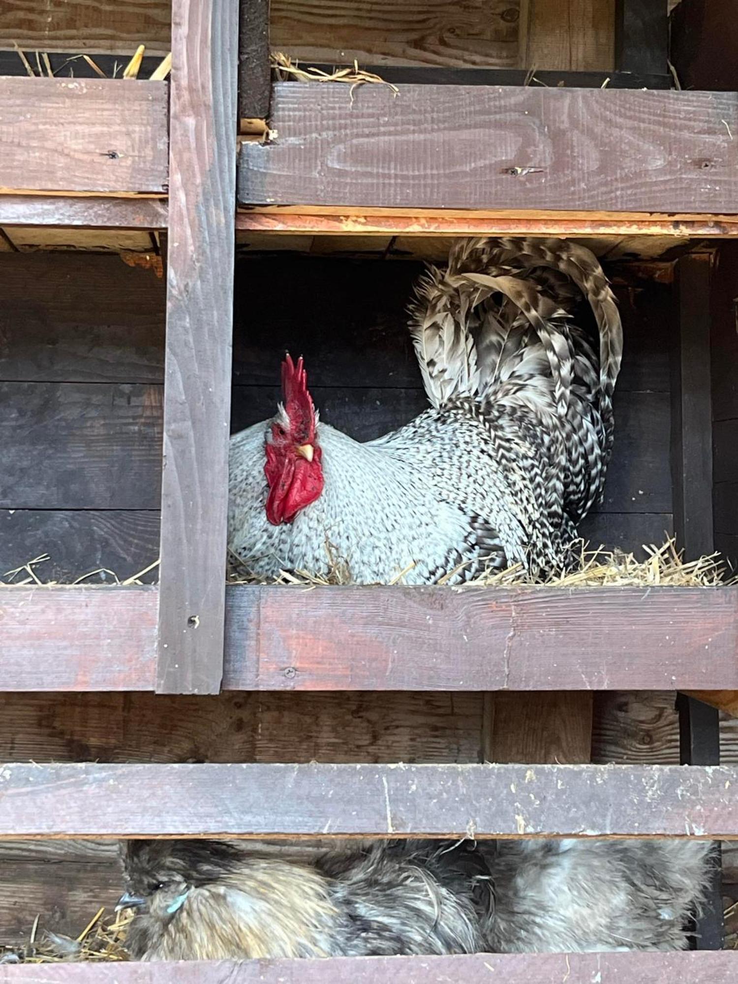 Вілла Agrotourist Maryska Male Lezno Екстер'єр фото
